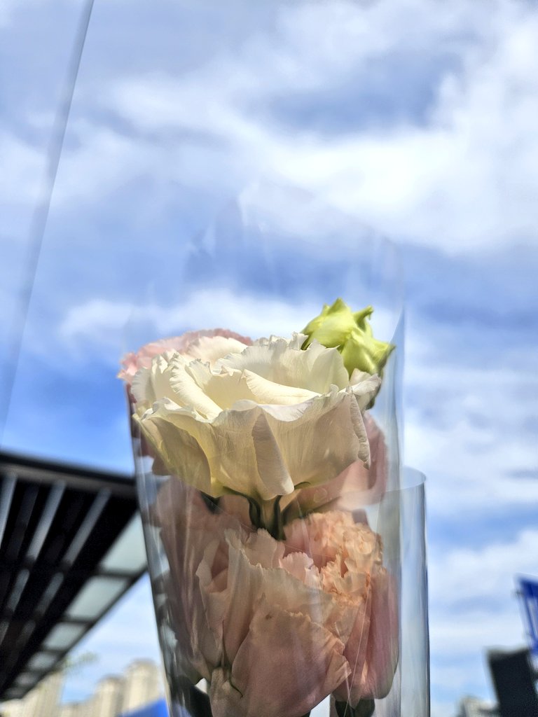 어떤 여자한테 청혼을 받앗어요Σ>―(〃°ω°〃)♡→