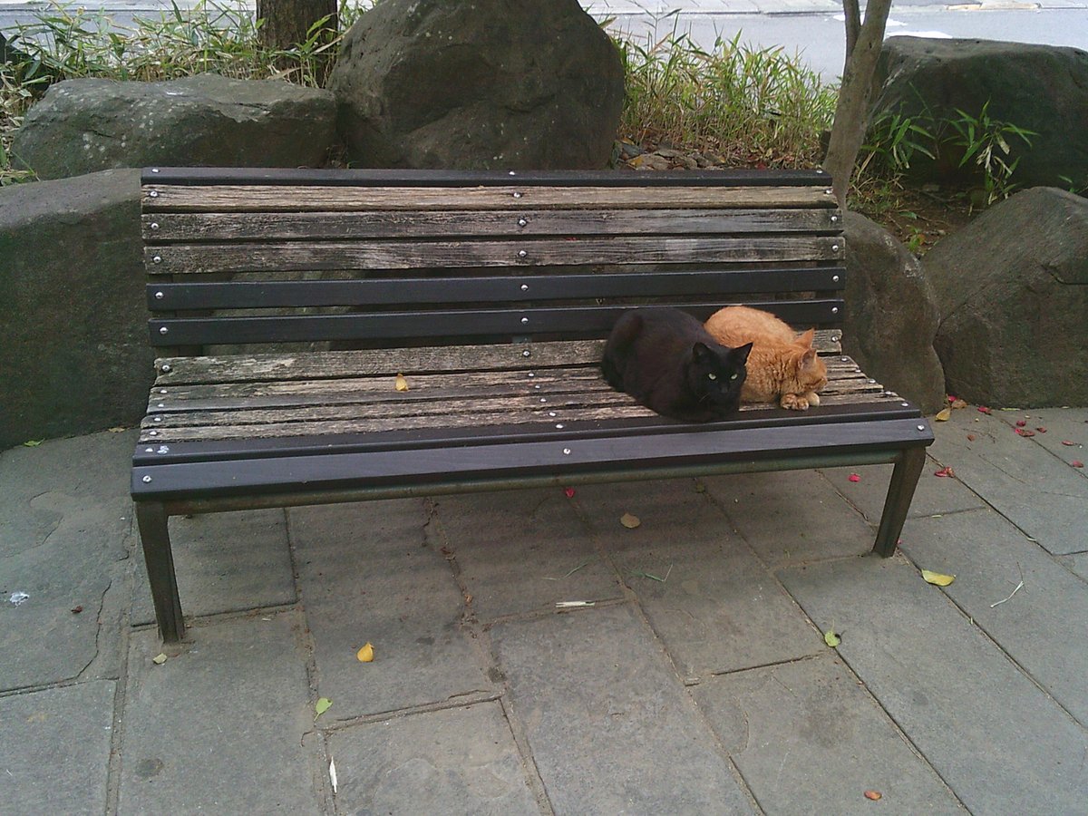 えんぴつ tweet media