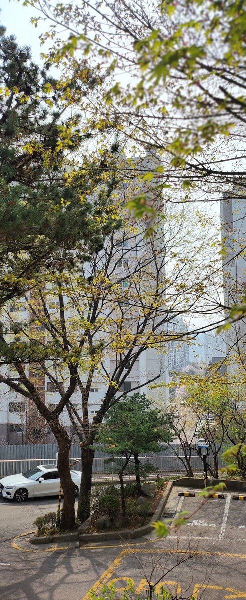 sunny🐶☕️⚘️ tweet media