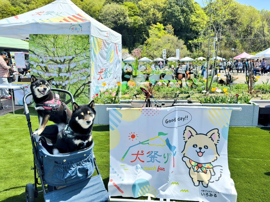 ごぼれん tweet media