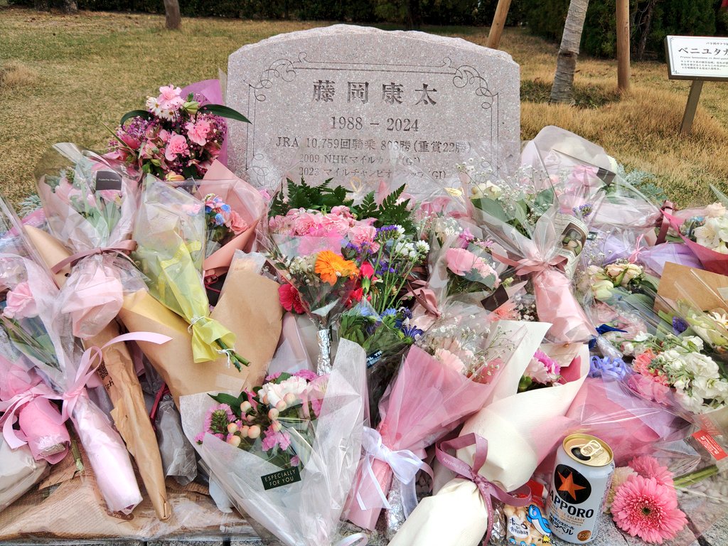 chihiro🐴 tweet media