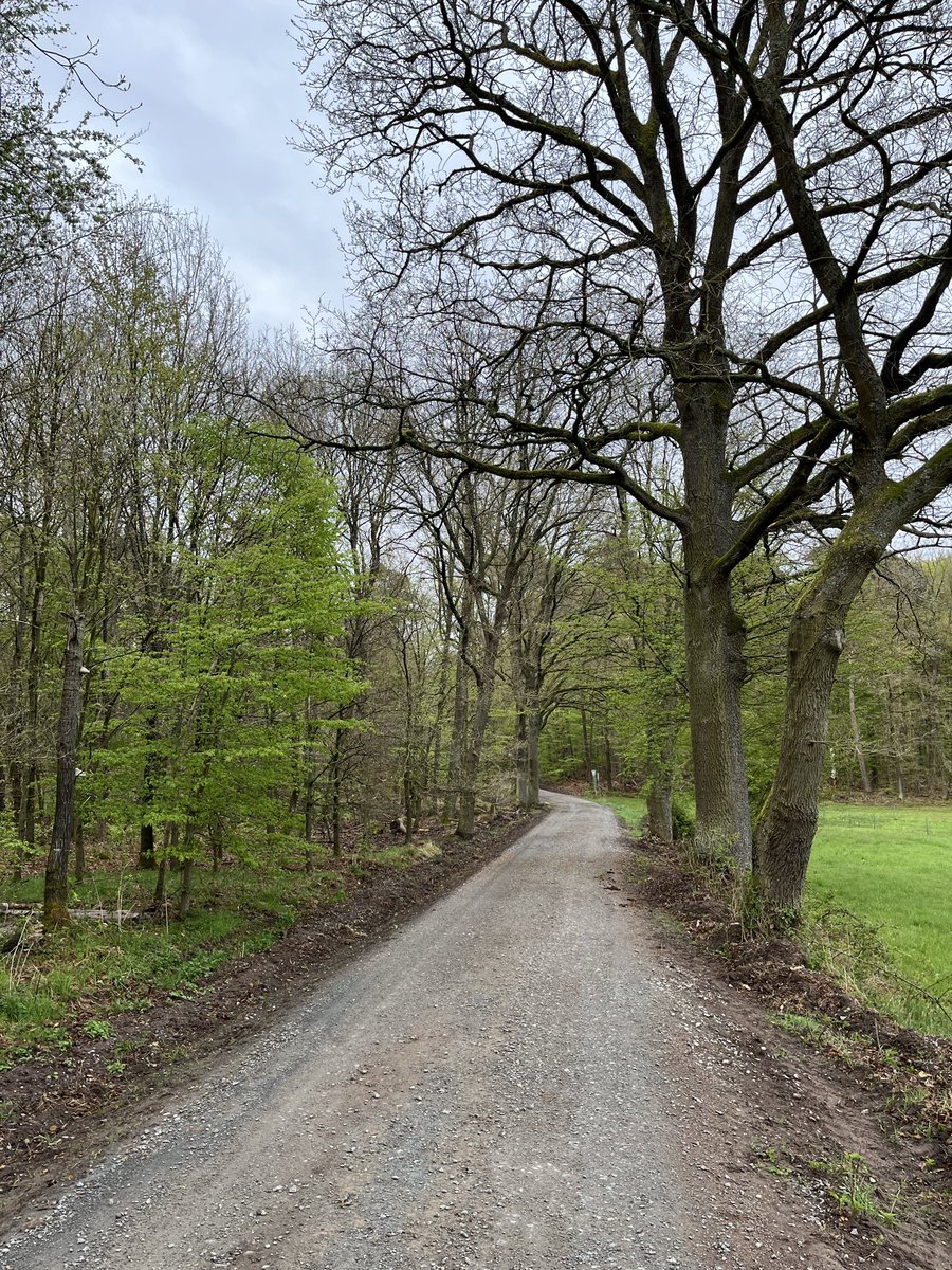 Peregrino tweet media