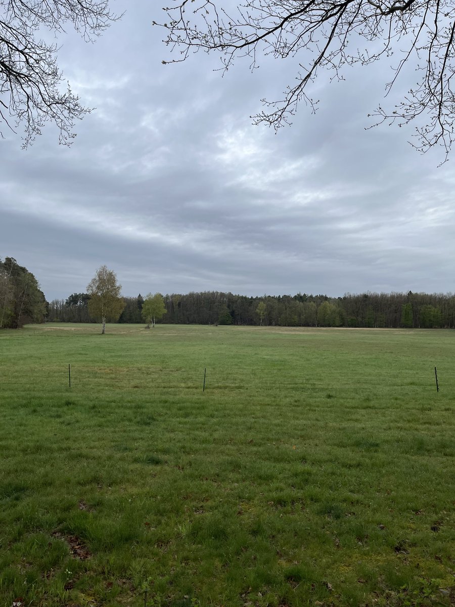 Peregrino tweet media