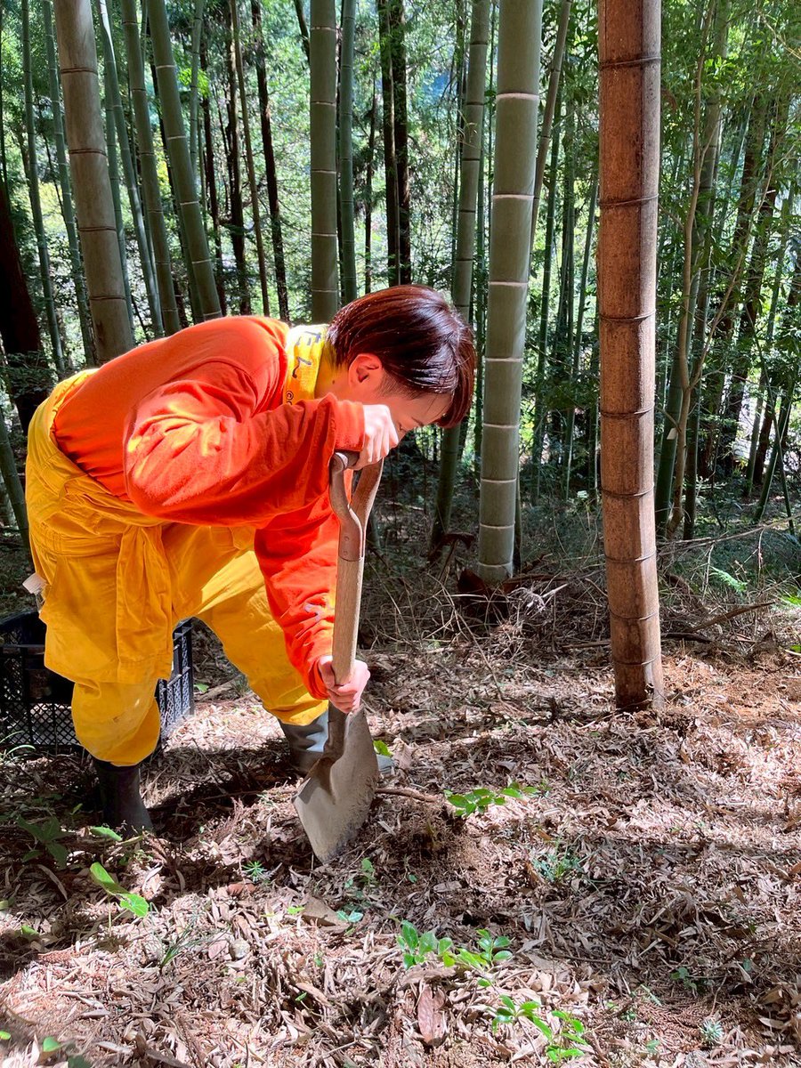 古川 奈苗 Nanae Furukawa tweet media