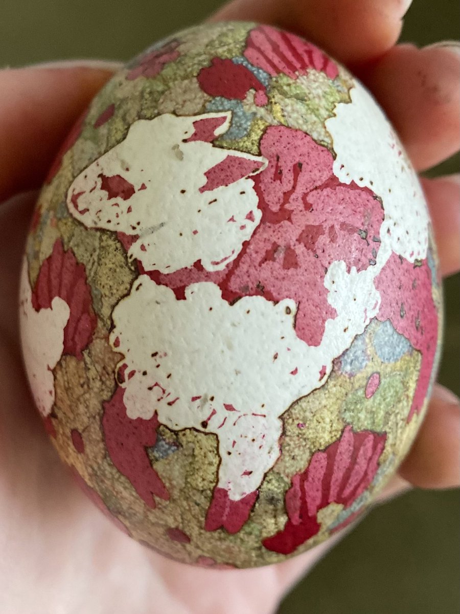 Куць tweet media