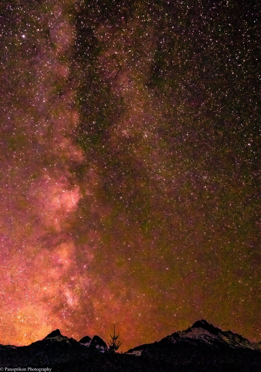 Panoptikon Photography tweet media