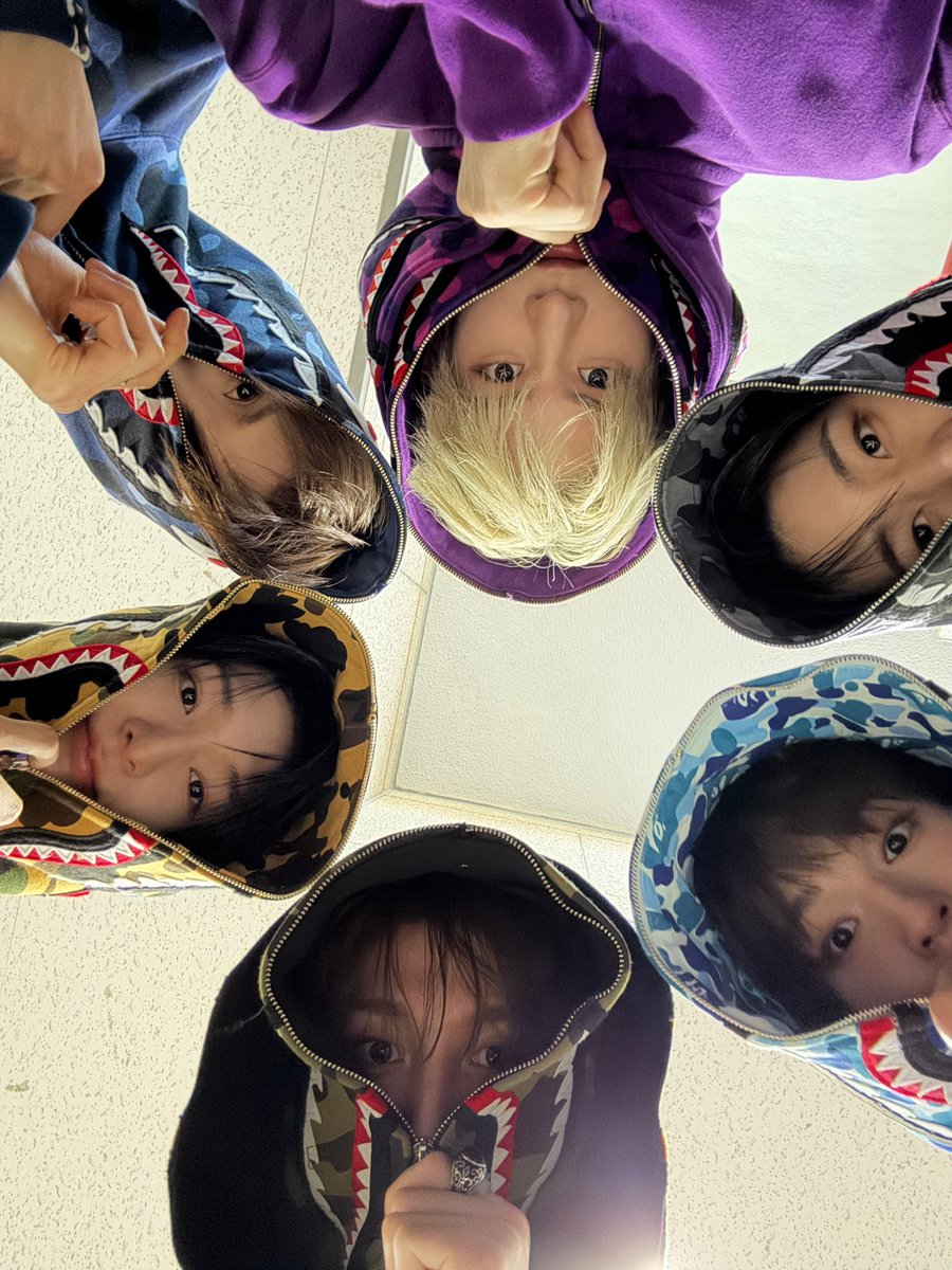 핏 tweet media