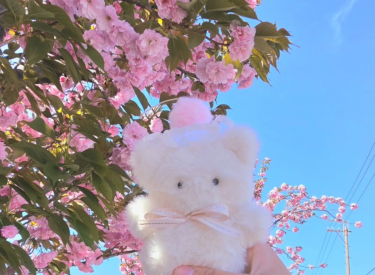 さりー tweet media