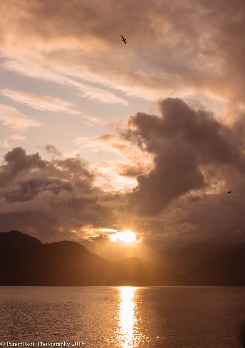 Panoptikon Photography tweet media