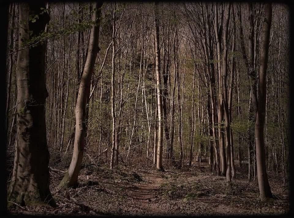 𝕮𝖍𝖗𝖎𝖘𝖙𝖎𝖓𝖆 𝖛. 𝖂𝖊𝖑𝖑𝖊𝖆𝖓 tweet media