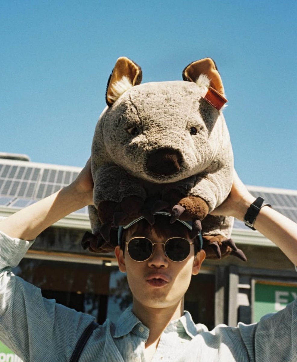 ꒰⁠˖⁠♡ひまわり—⁠☆🌻 tweet media