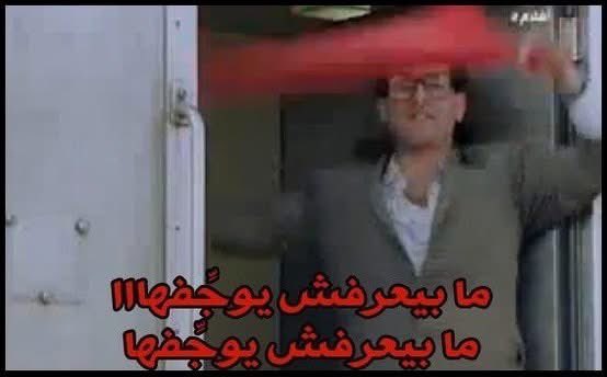 غادة نجيب - Ghada Nagib tweet media