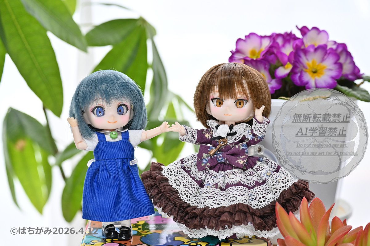 ばちがみ tweet media