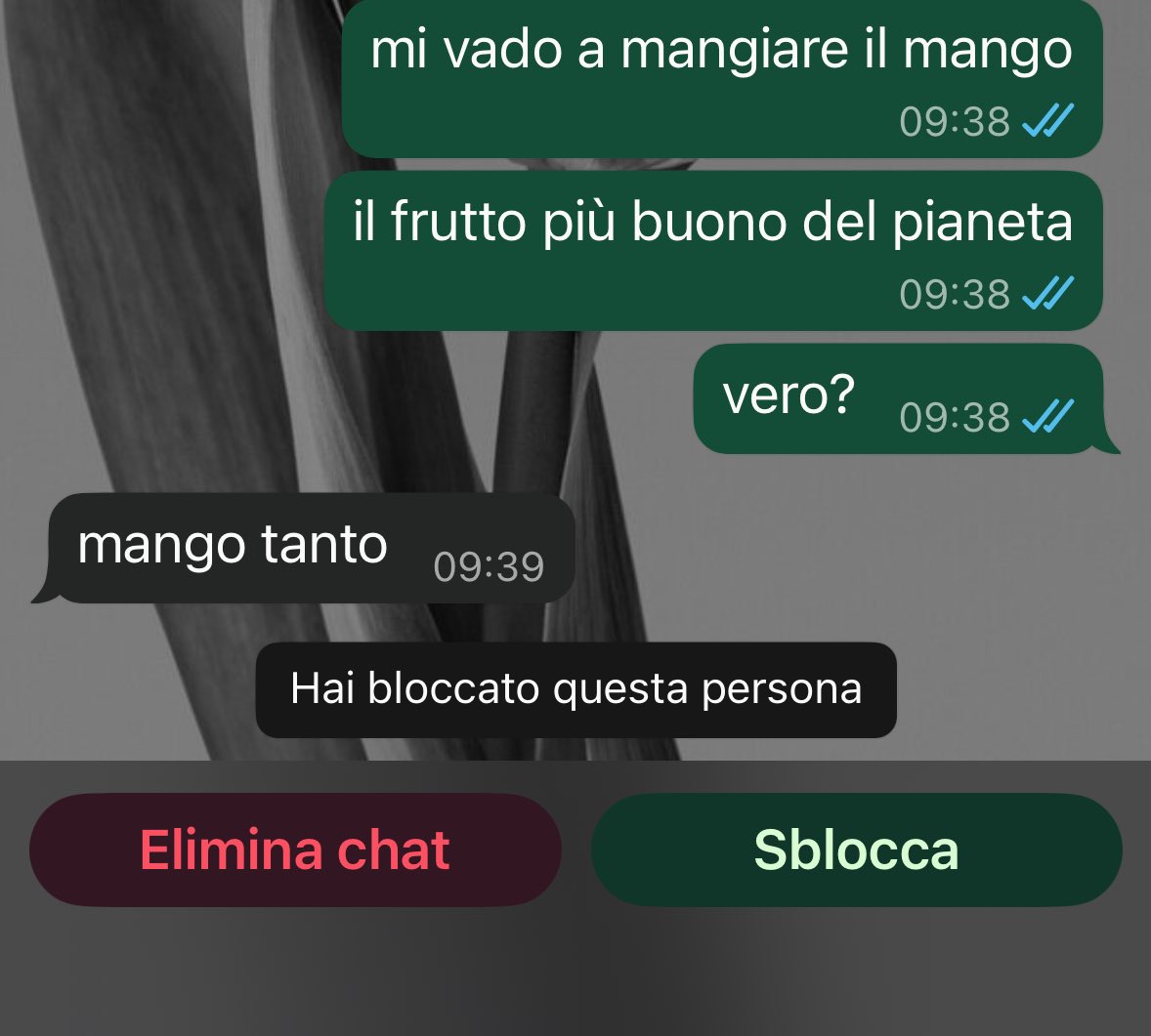 pusher di delusioni ❯ ❯ ❯ ❯ ❯ tweet media