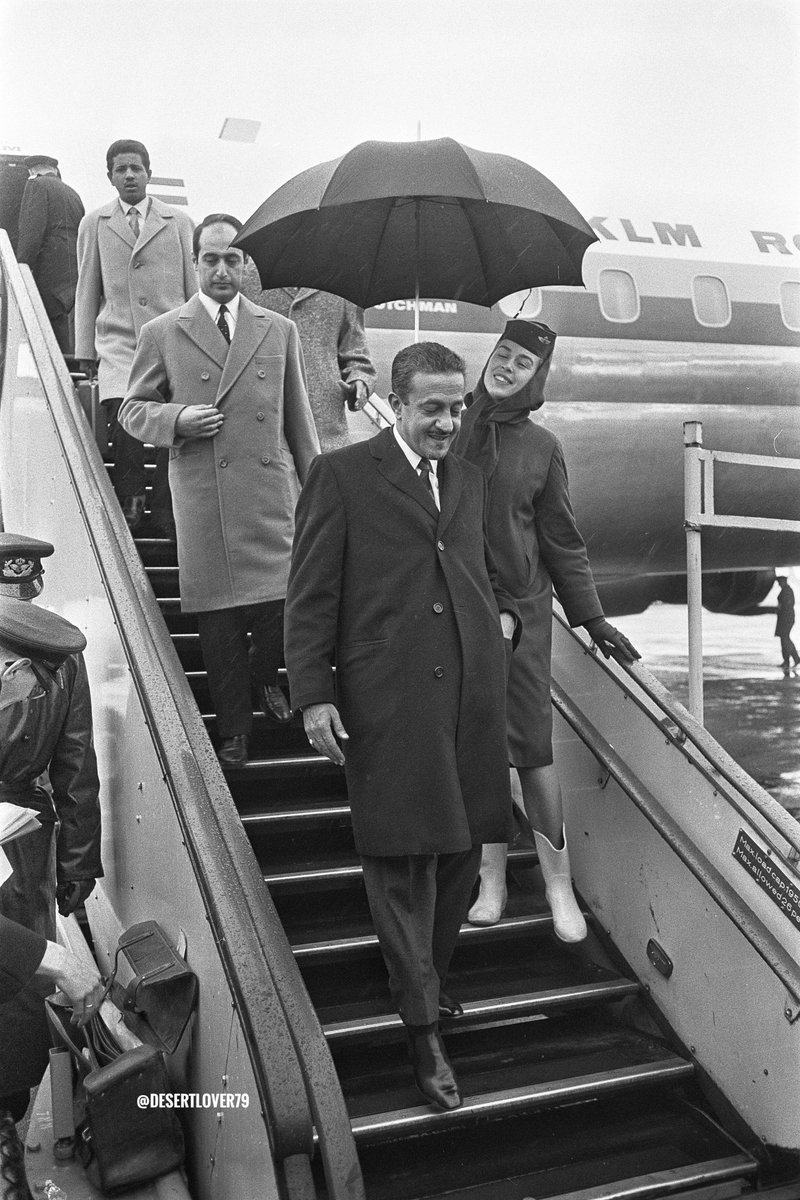 محمد ناصر الخليفة tweet media