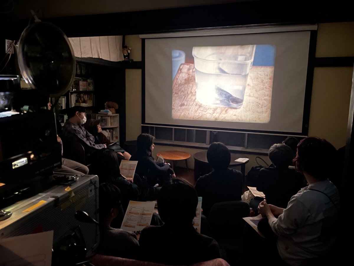 最終回は18時から！
ご予約無しでもお入りいただけます！
写真はゲスト監督の黒川由美子さんの作品