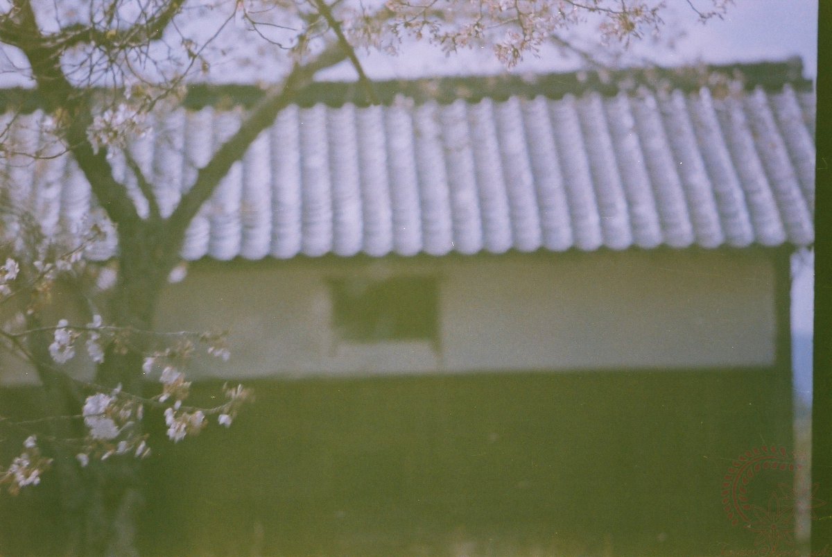 kyoto_suki's tweet photo. @k_photo_tokyo ご報告。アドバイスをありがとうございました。
1991年10月 #期限切れフィルム FijiFilm #業務用100 を2段落としてをISO25で試し撮り。
#COSINA #CT1EX Asahi Opt. Co. #SuperTakmar50mm F1.4 #SuperTakmar28mm F3.5 #SuperMultiCoatedTakmar150mm F4 #film FijiFilm #業務用100 https://t.co/hrkaoFDz1r