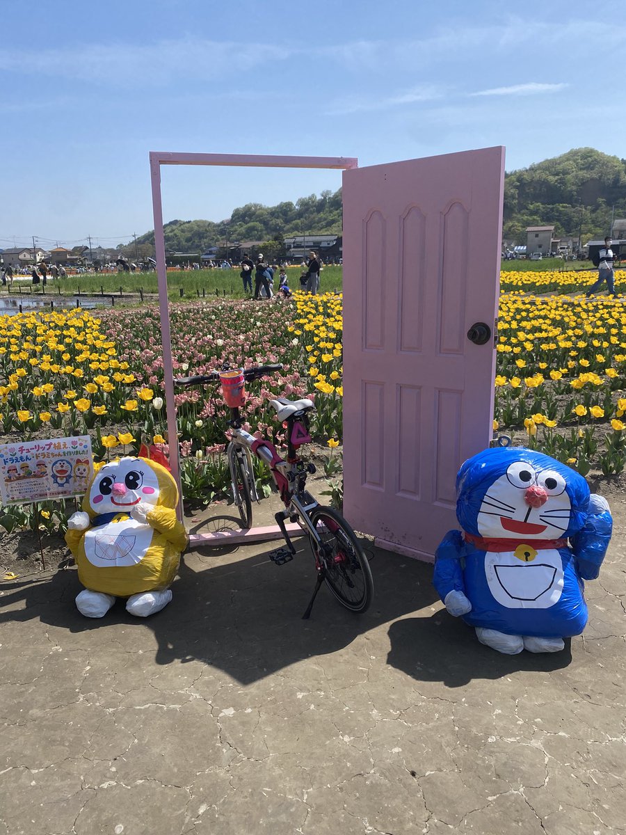 ちゃんレイ@ミニベロ tweet media