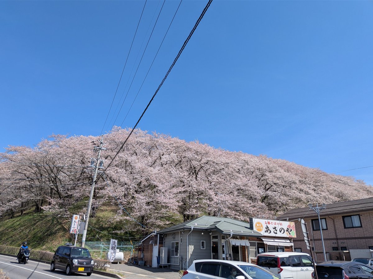 ヴィラ tweet media