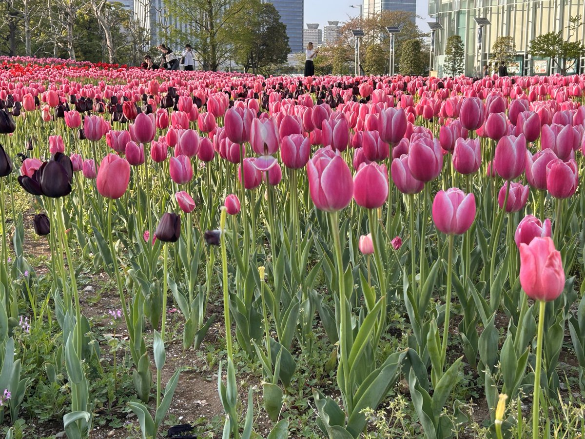 茶茶季🍵 tweet media