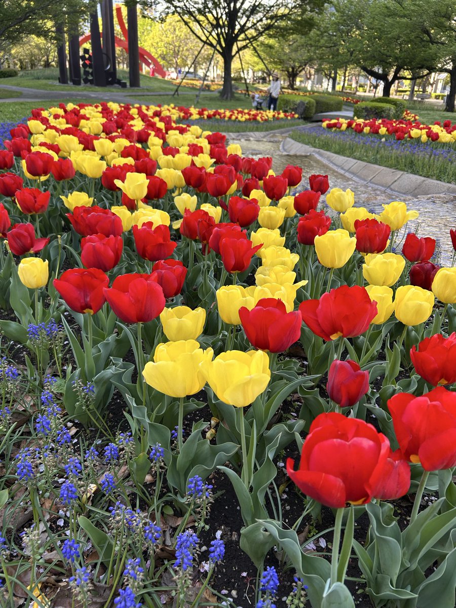 茶茶季🍵 tweet media