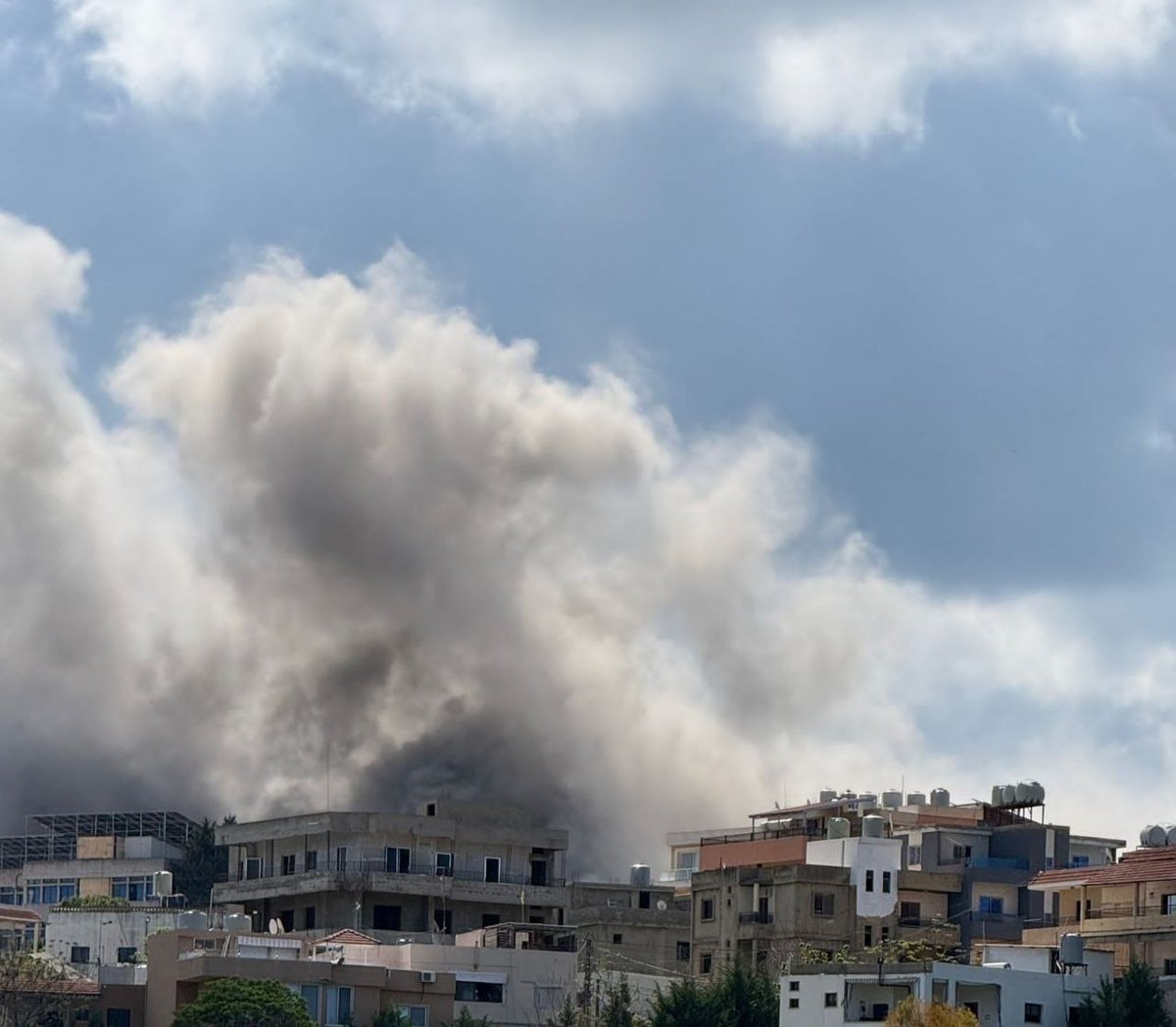 משה موشي جرادي Moshi tweet media