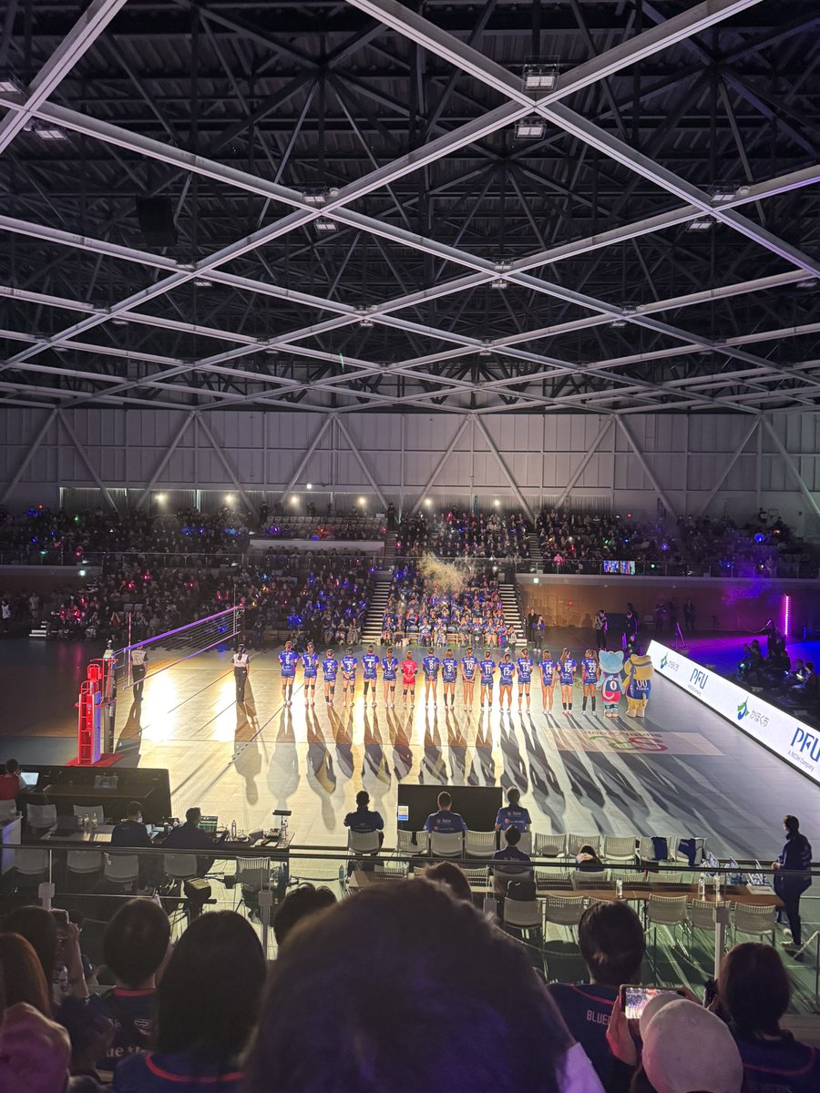 犀藤菜穂 🐑 Saito Naho tweet media