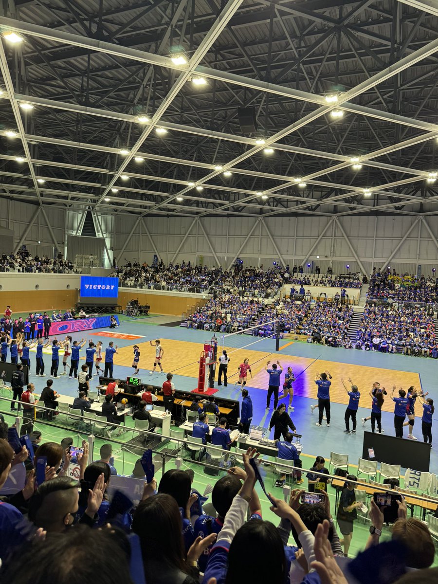 犀藤菜穂 🐑 Saito Naho tweet media