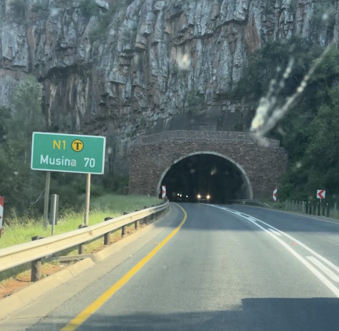 The Real KING OF THE JUNGLE tweet media