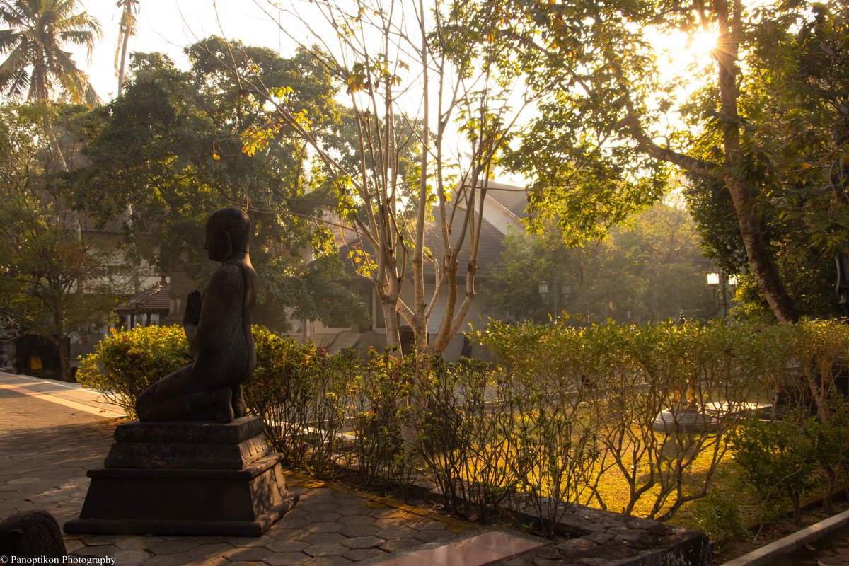 Panoptikon Photography tweet media