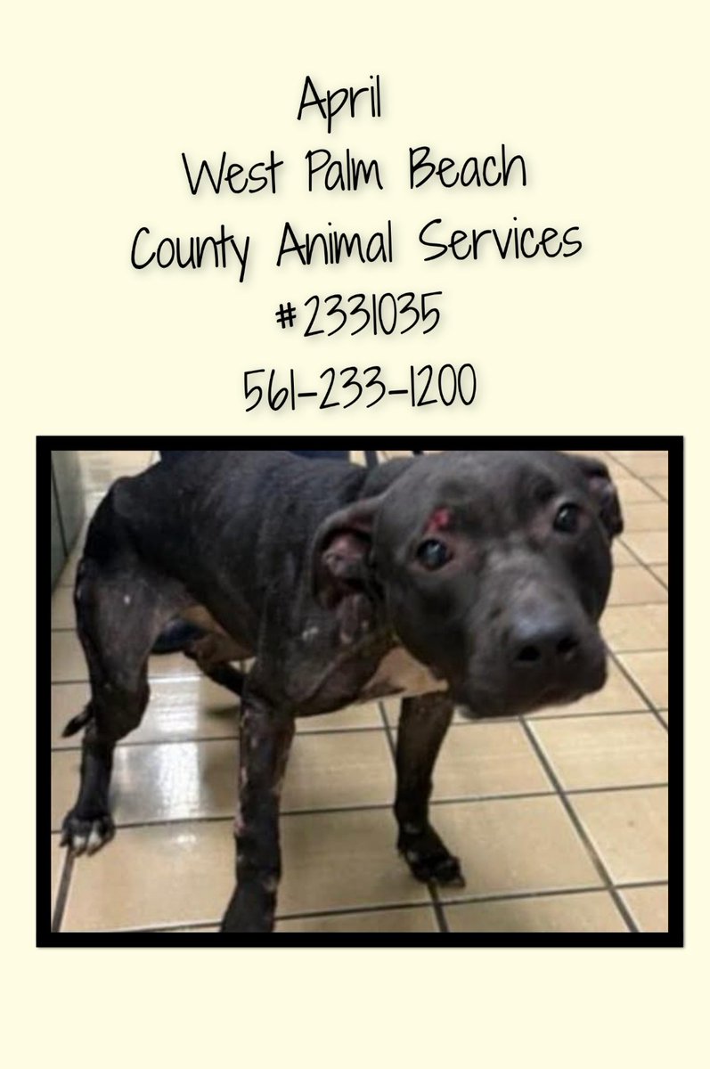 Kerri Reed tweet media