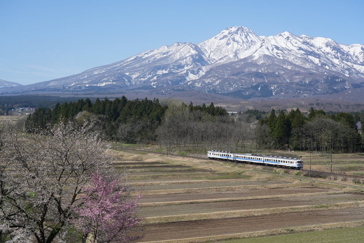 ハレかわ tweet media