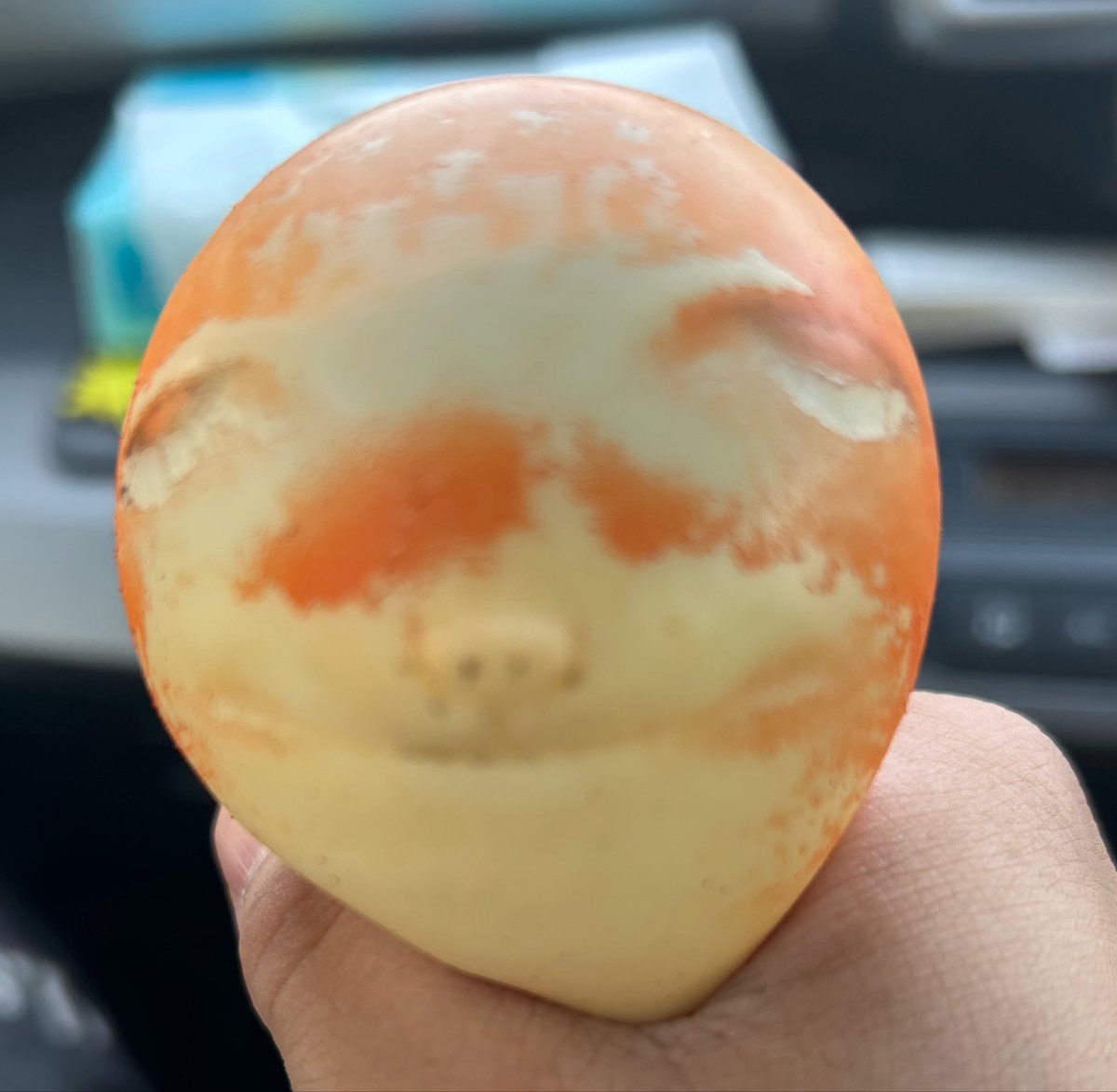 わわわんわ🙀 tweet media