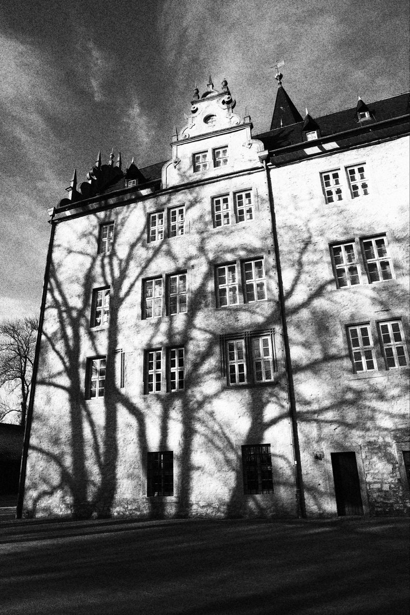 Björn Schreiner tweet media