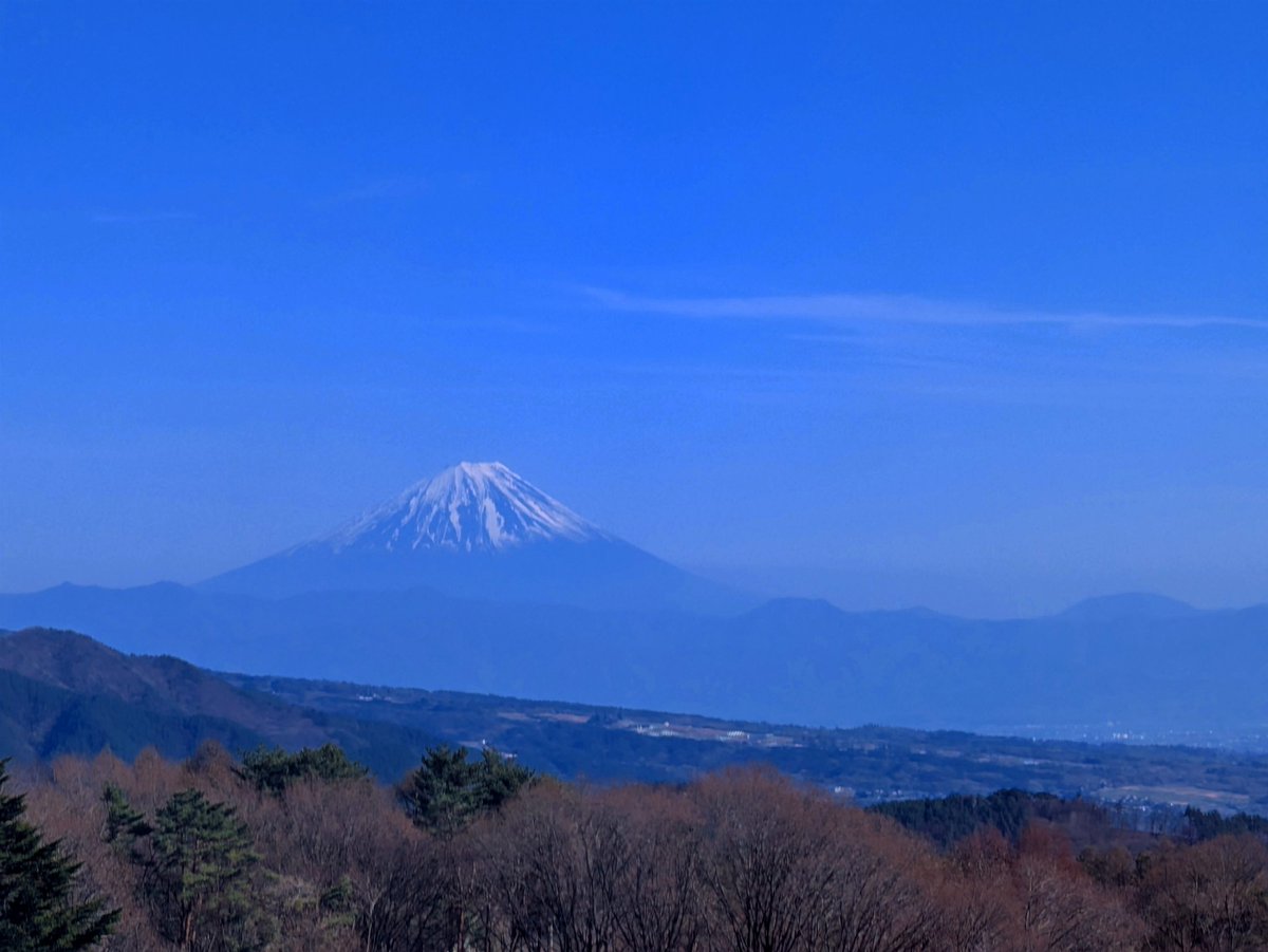 山梨楽しくて美味しい イイね