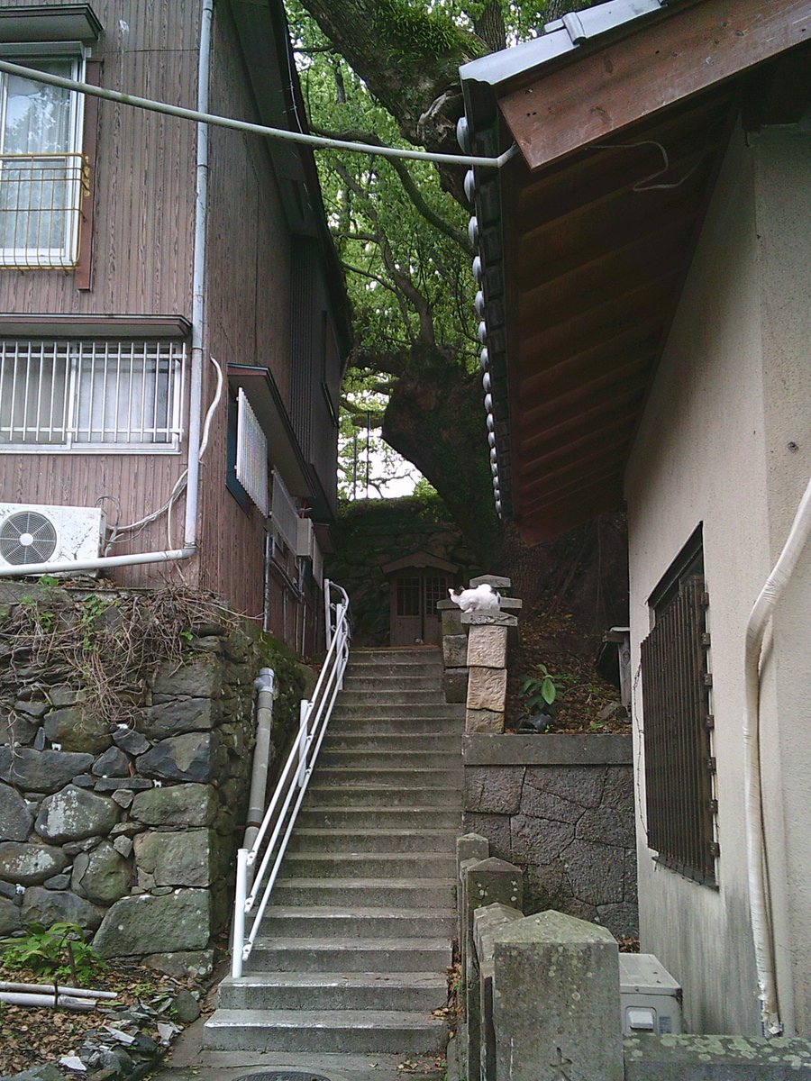 えんぴつ tweet media