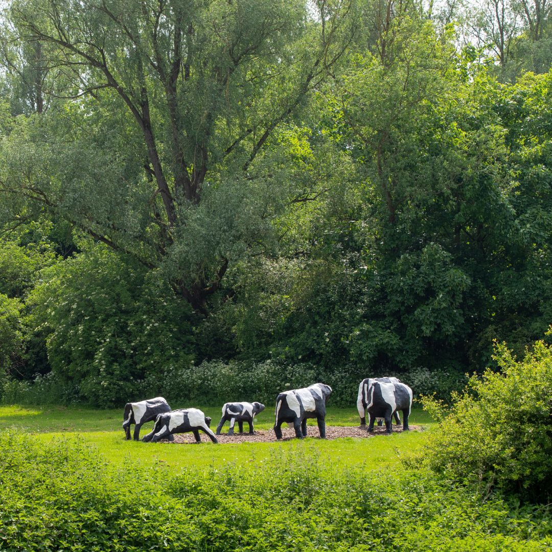 The Parks Trust tweet media