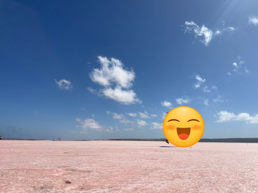 캔모아✨ tweet media