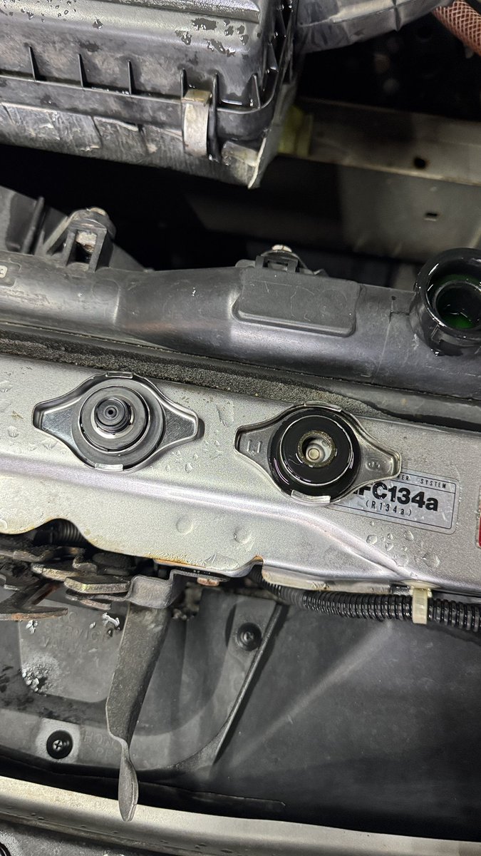 raybric（華音） tweet media