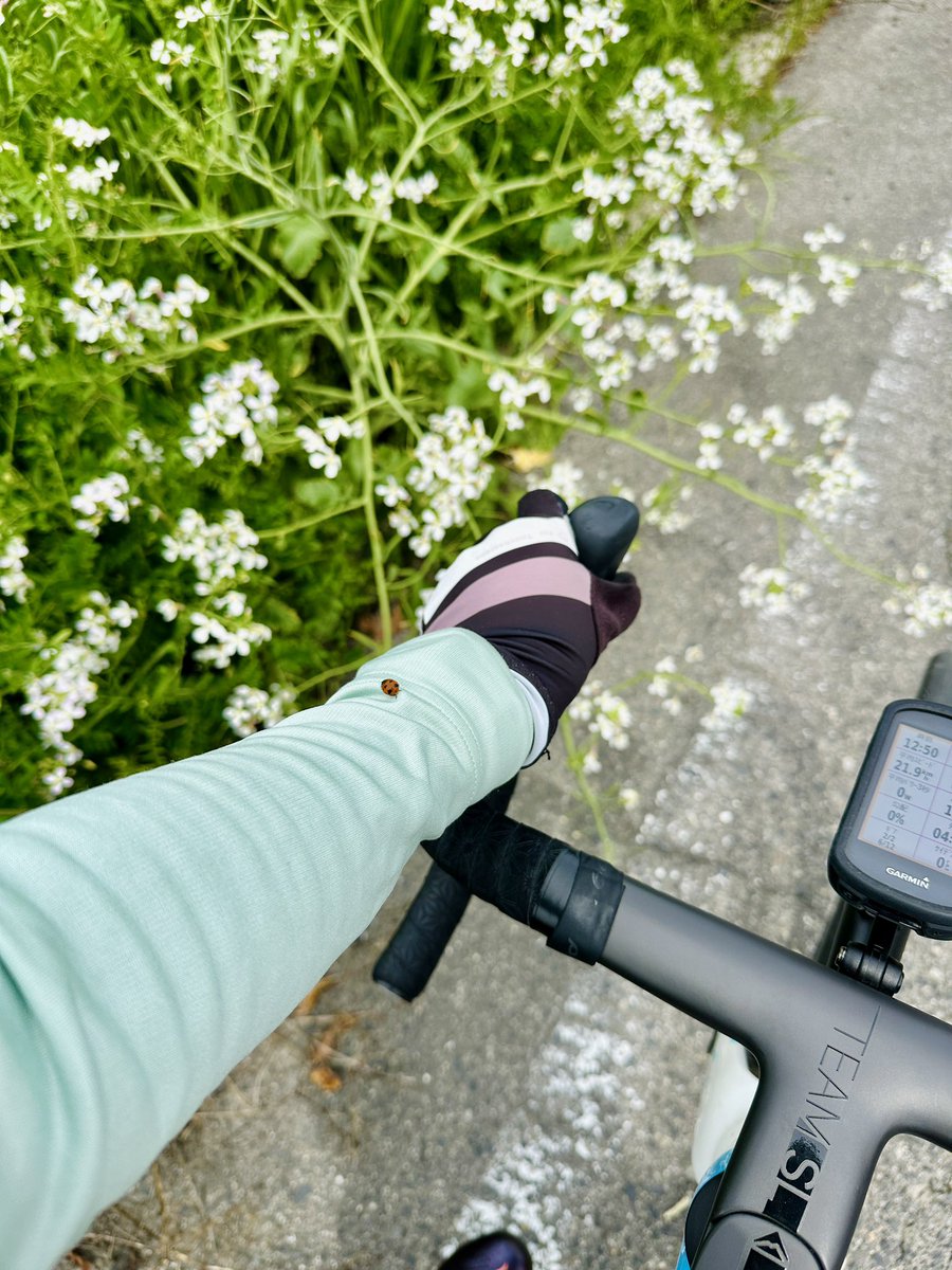 おやおや、こんにちは。