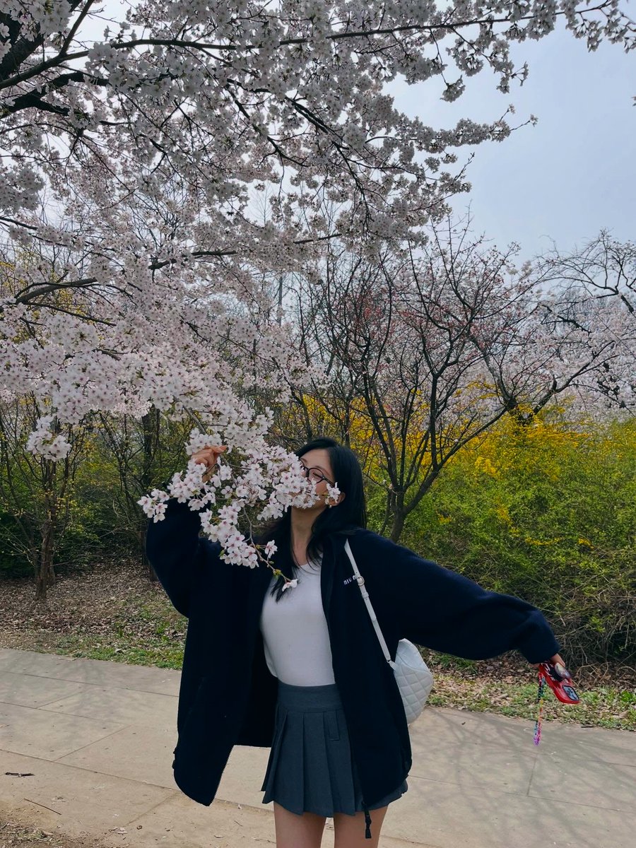 seothecat's tweet photo. even the cherry blossoms look softer next to her 🌸🌿 https://t.co/059zPegUGe