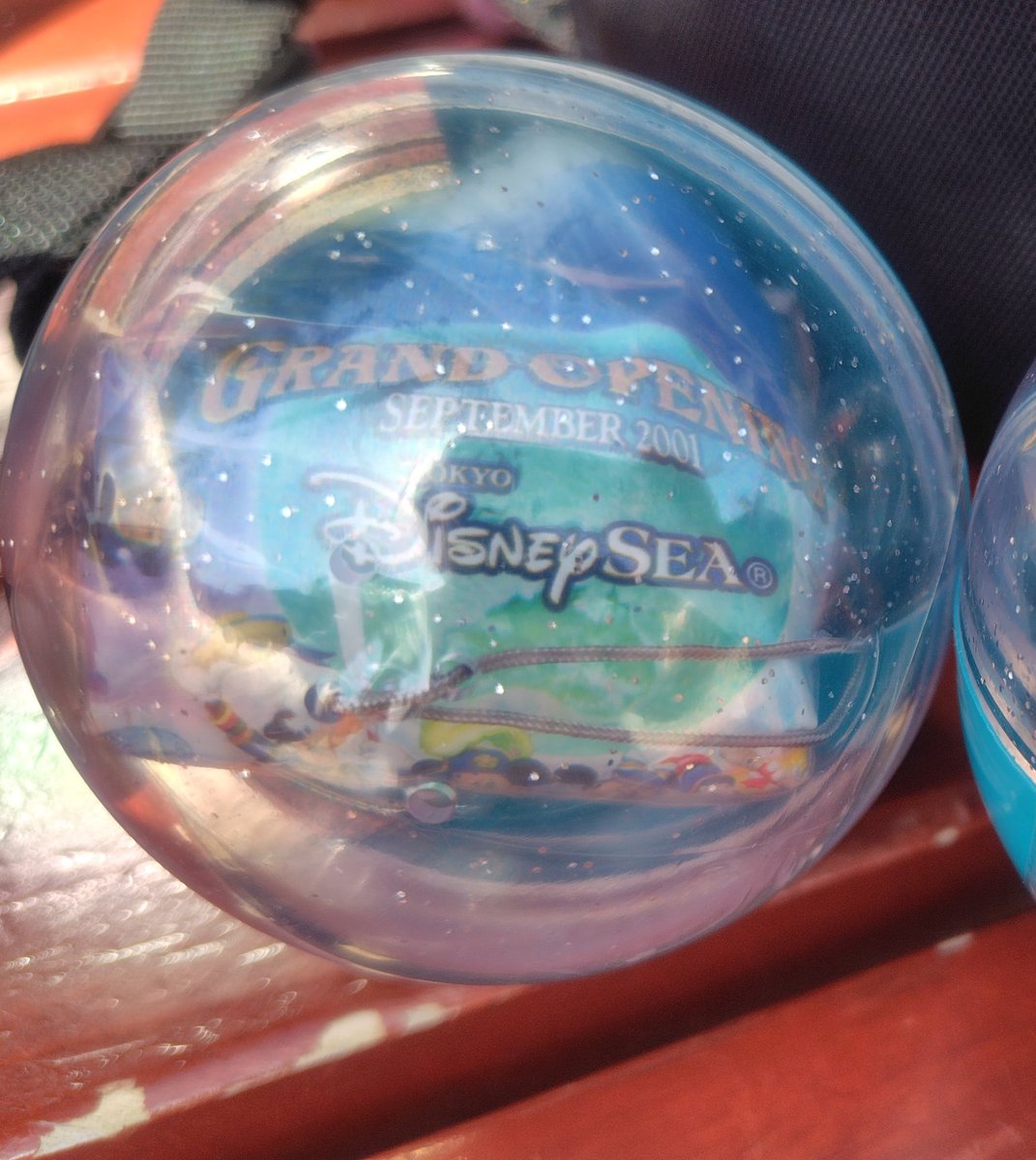 芽雨(取引用) tweet media