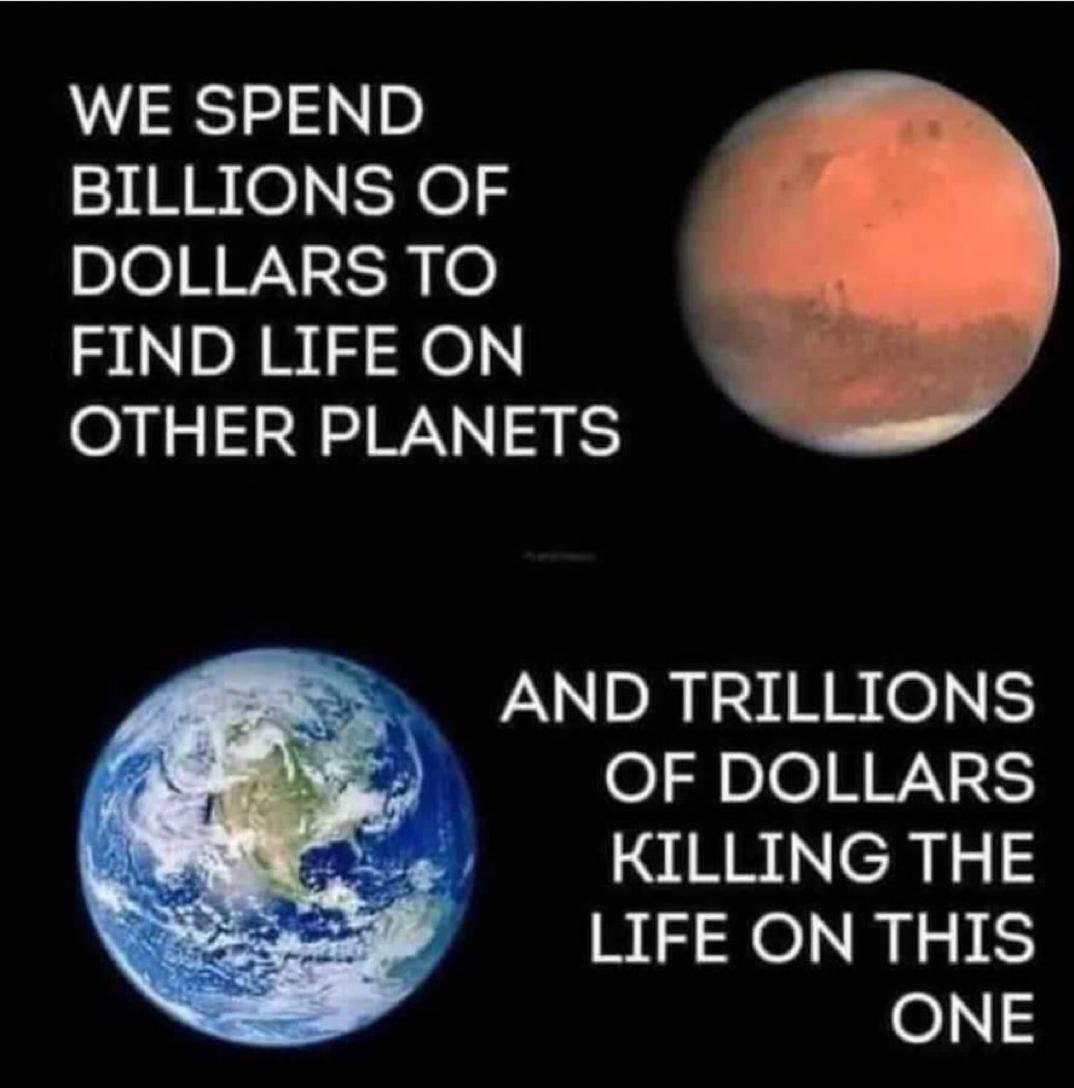 Bulletin Buzz tweet media