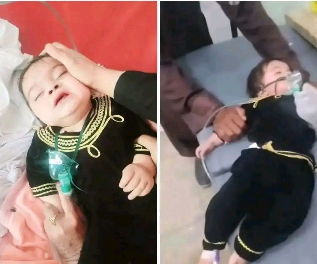 🦅 حافظ تسکین tweet media