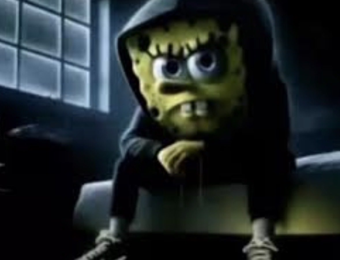 TurtleHype tweet media