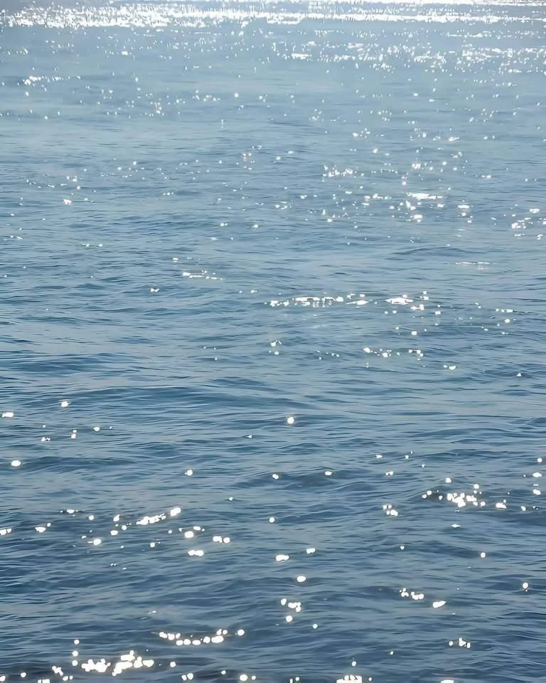 Nature & Human tweet media