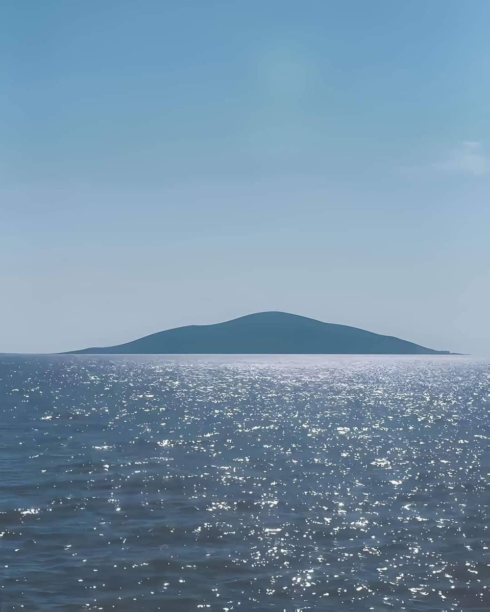 Nature & Human tweet media