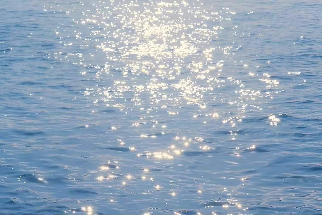 Nature & Human tweet media