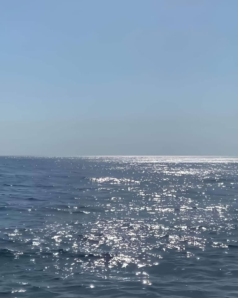 Nature & Human tweet media