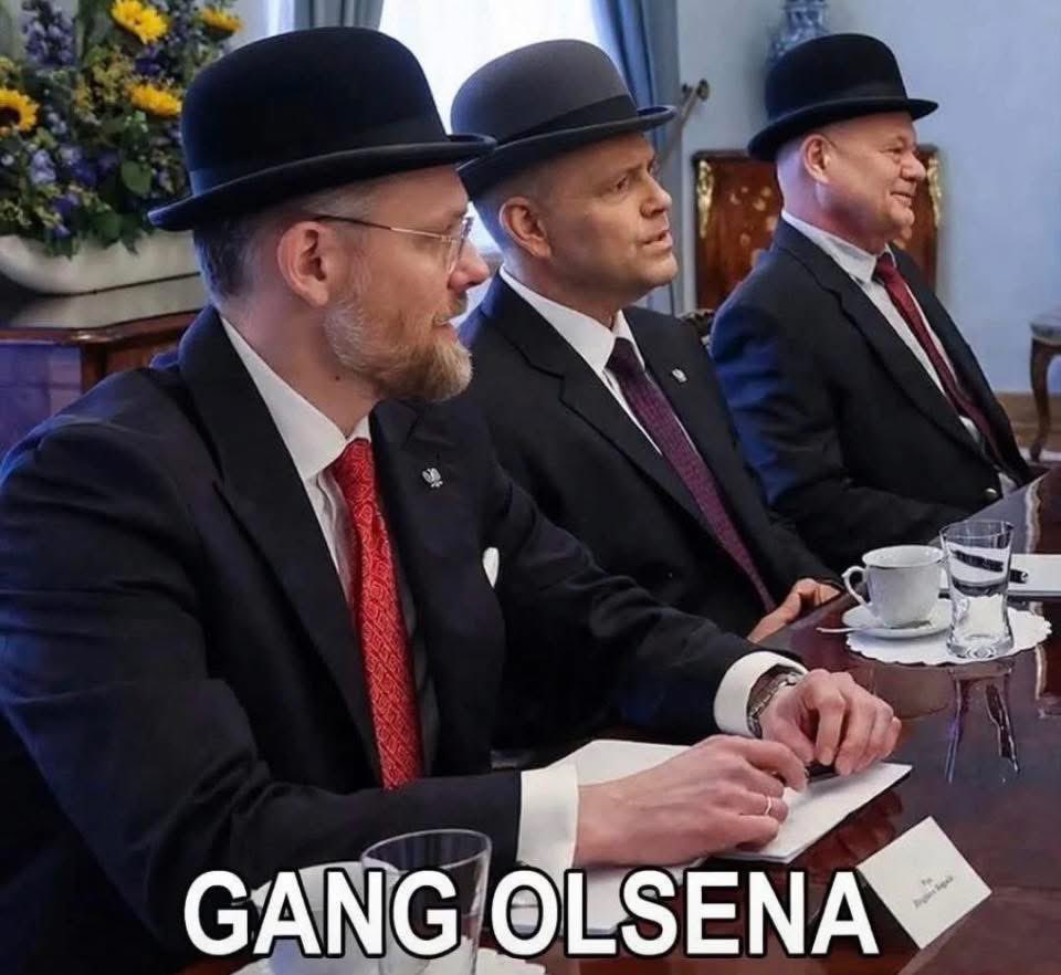 NowoczesnaDemokracja tweet media